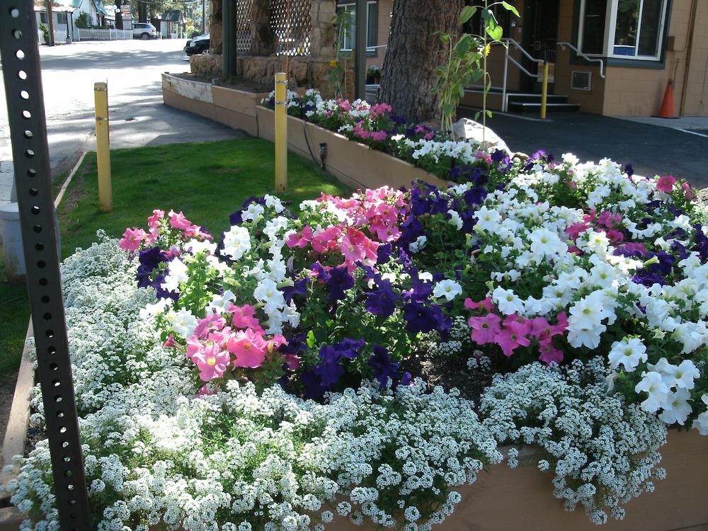 Alpine Inn&Spa South Lake Tahoe Exterior foto